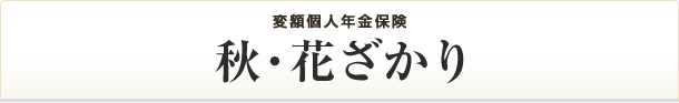 秋・花ざかり