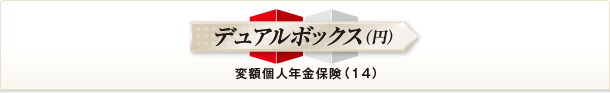 デュアルボックス（円） 変額個人年金保険（１４）