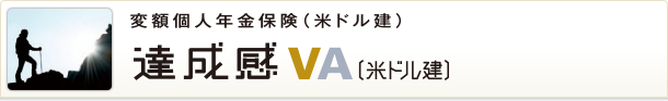 達成感VA（米ドル建）