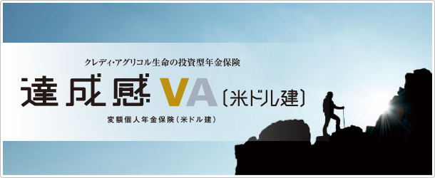 達成感VA（米ドル建）